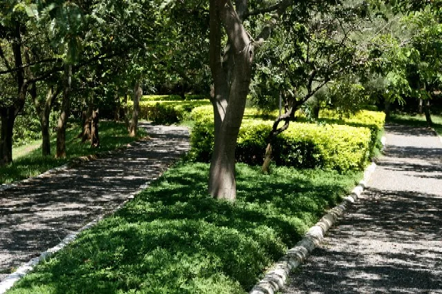 00024_foto